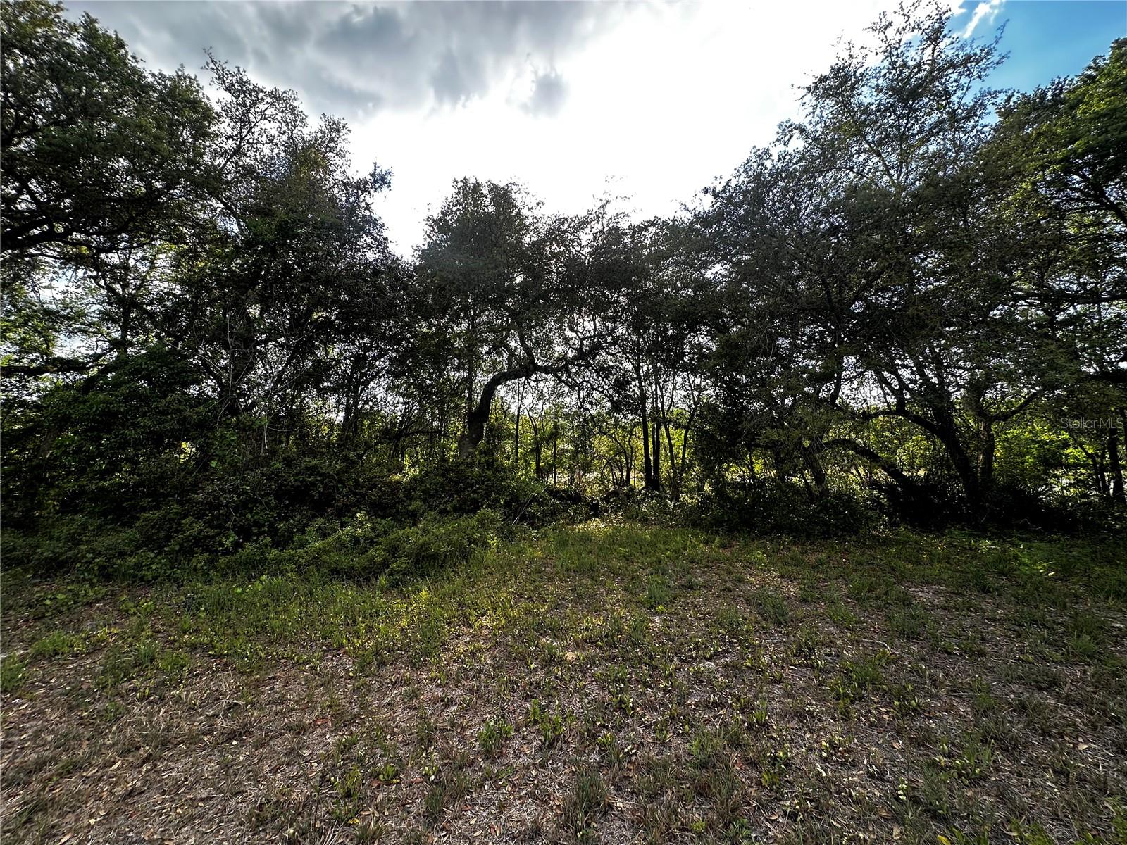 4050 NE 171ST CT, SILVER SPRINGS, FL, 34488