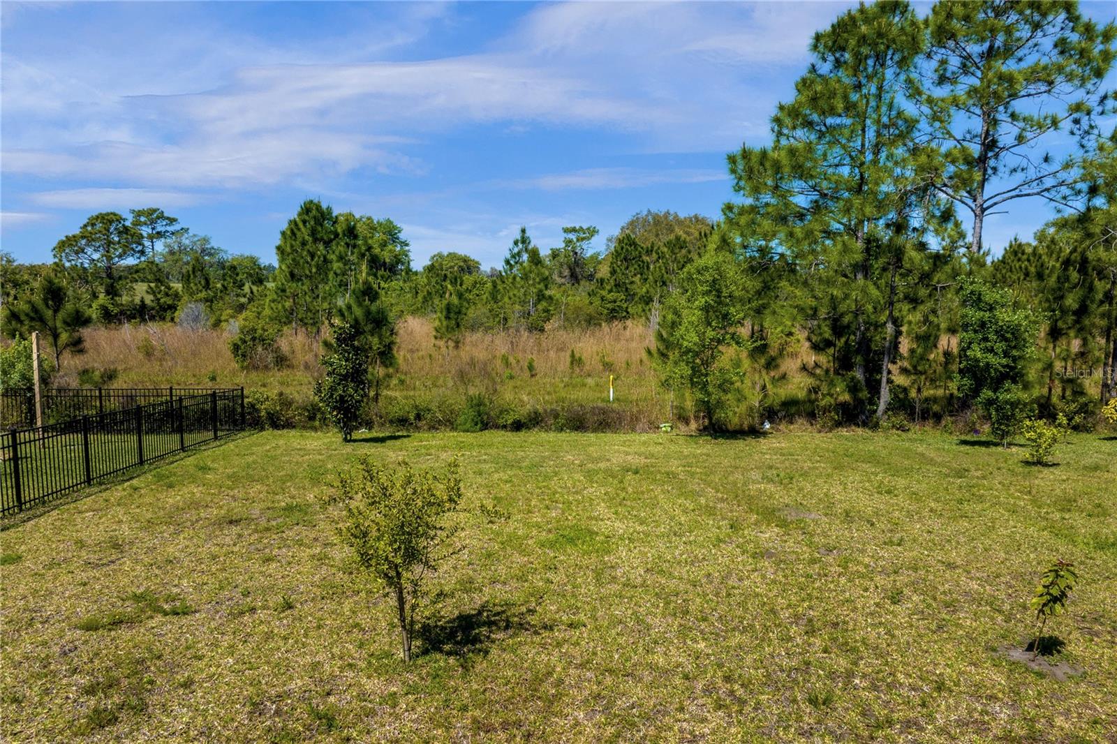 2613 CAMDEN PARK LOOP, DAVENPORT, FL, 33837