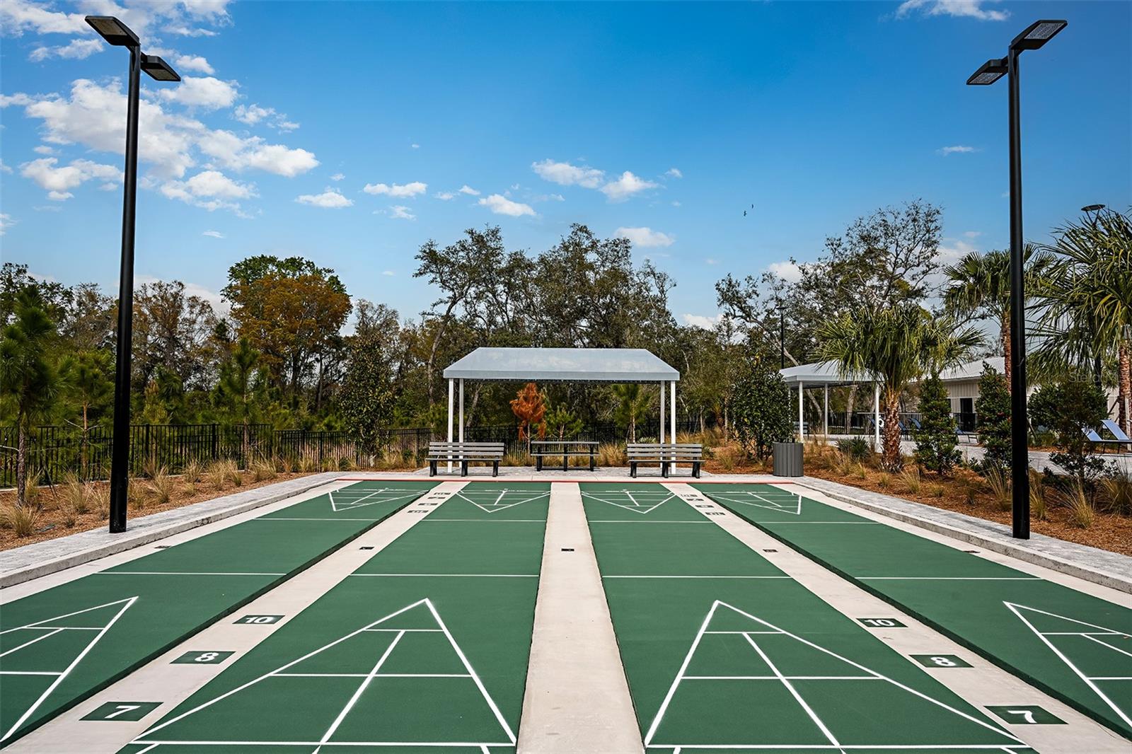 10861 RUSTIC EVE CT, LAND O LAKES, FL, 34638
