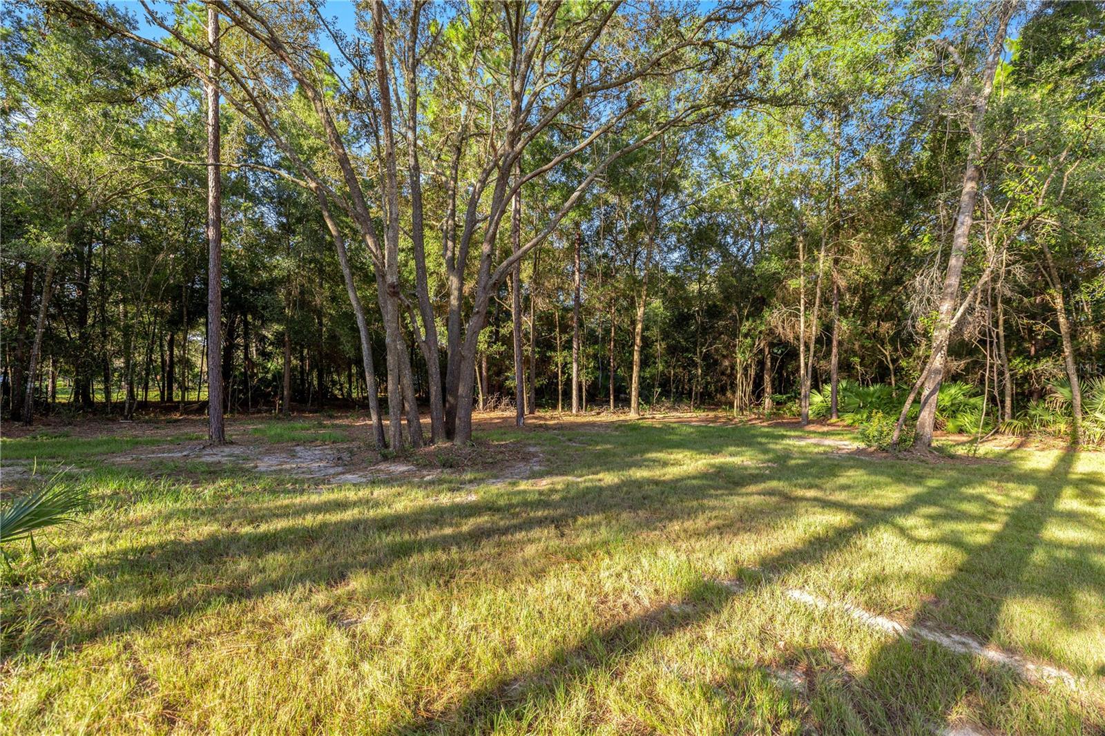 9790 W PINESPRING CT, CRYSTAL RIVER, FL, 34428