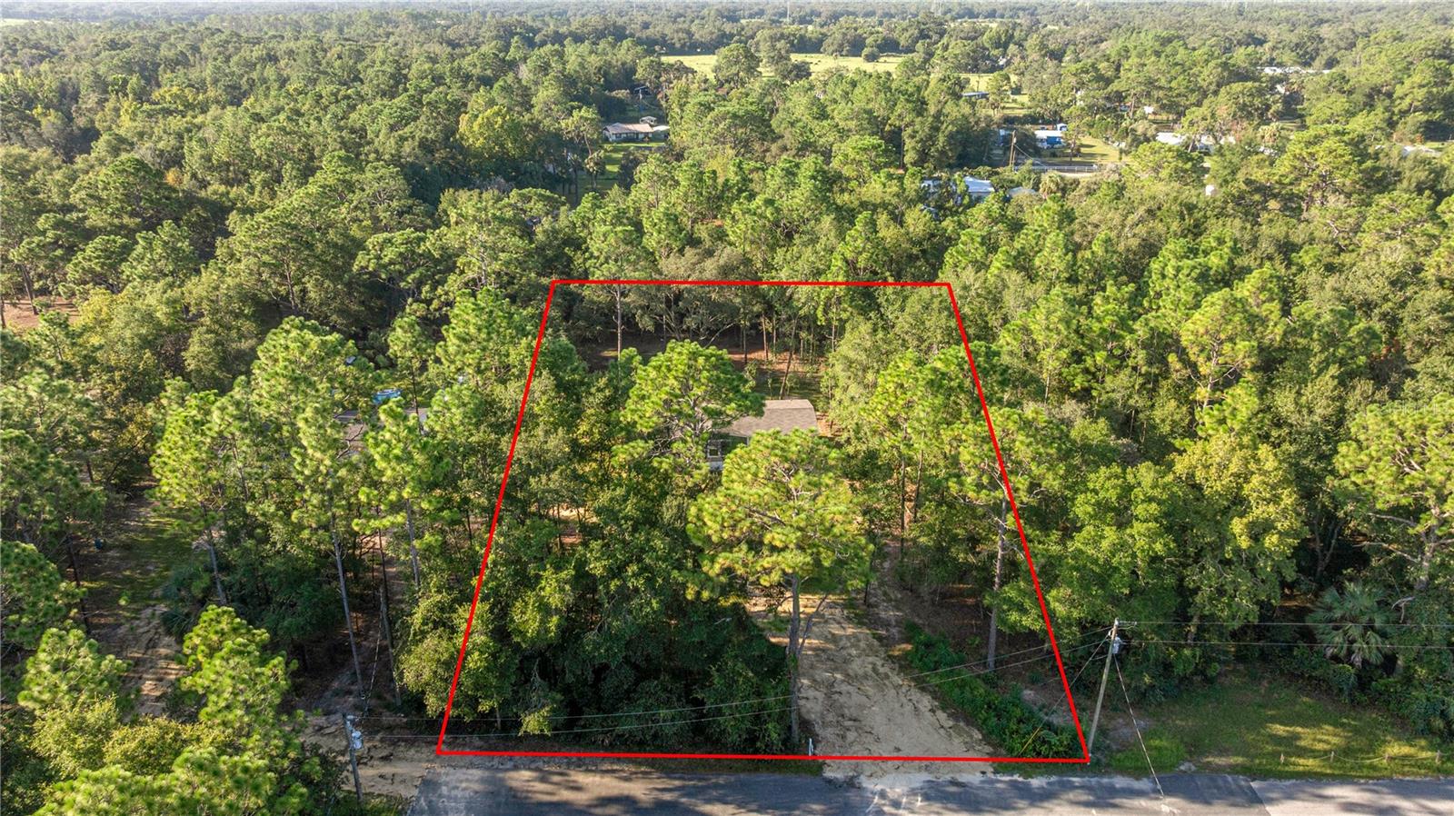 9790 W PINESPRING CT, CRYSTAL RIVER, FL, 34428