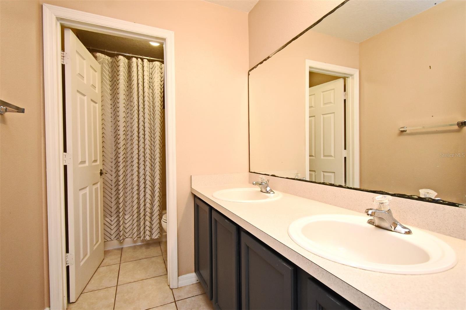 297 SKY VALLEY ST, CLERMONT, FL, 34711