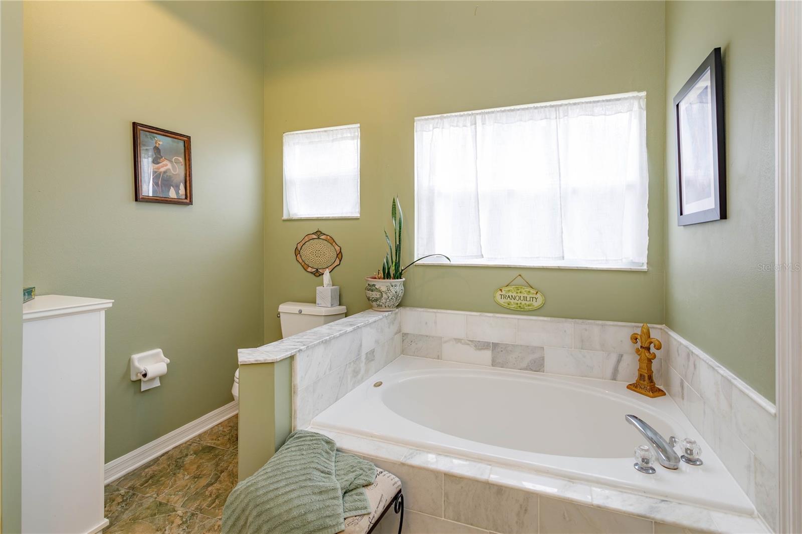 12846 BROWN BARK TRL, CLERMONT, FL, 34711