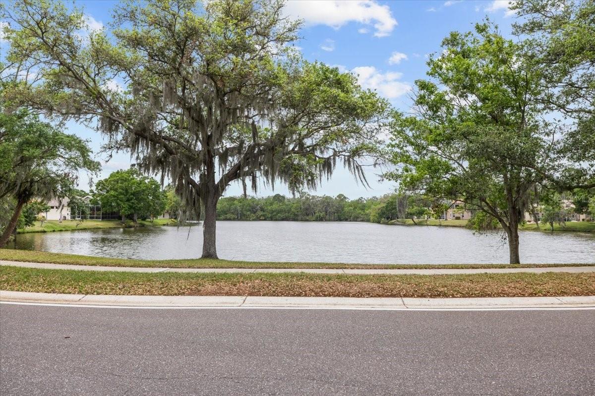 235 WOODRIDGE CIR, OLDSMAR, FL, 34677