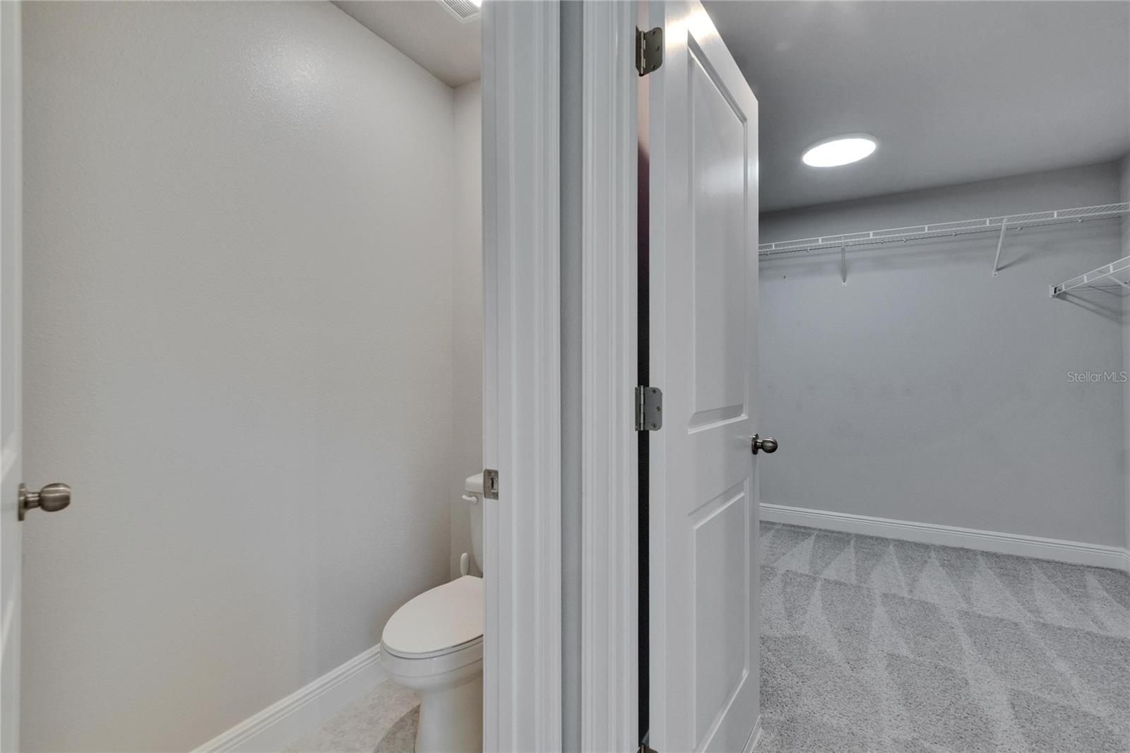 5922 GRAND SONATA AVE, LUTZ, FL, 33558