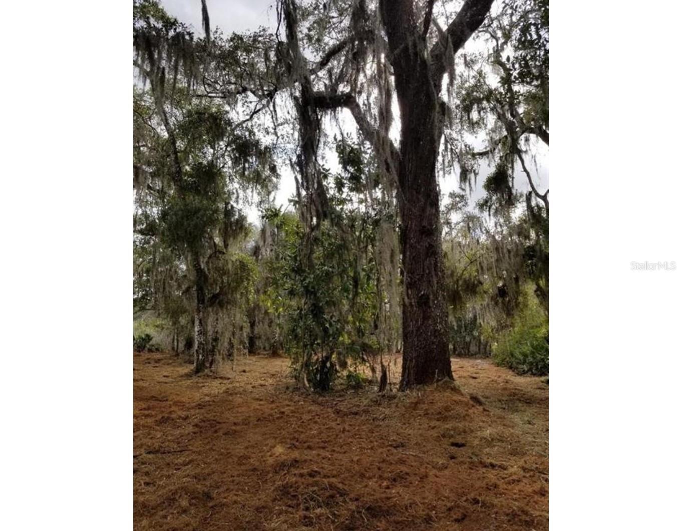 1005 N PENNYBACKER RD, INVERNESS, FL, 34453