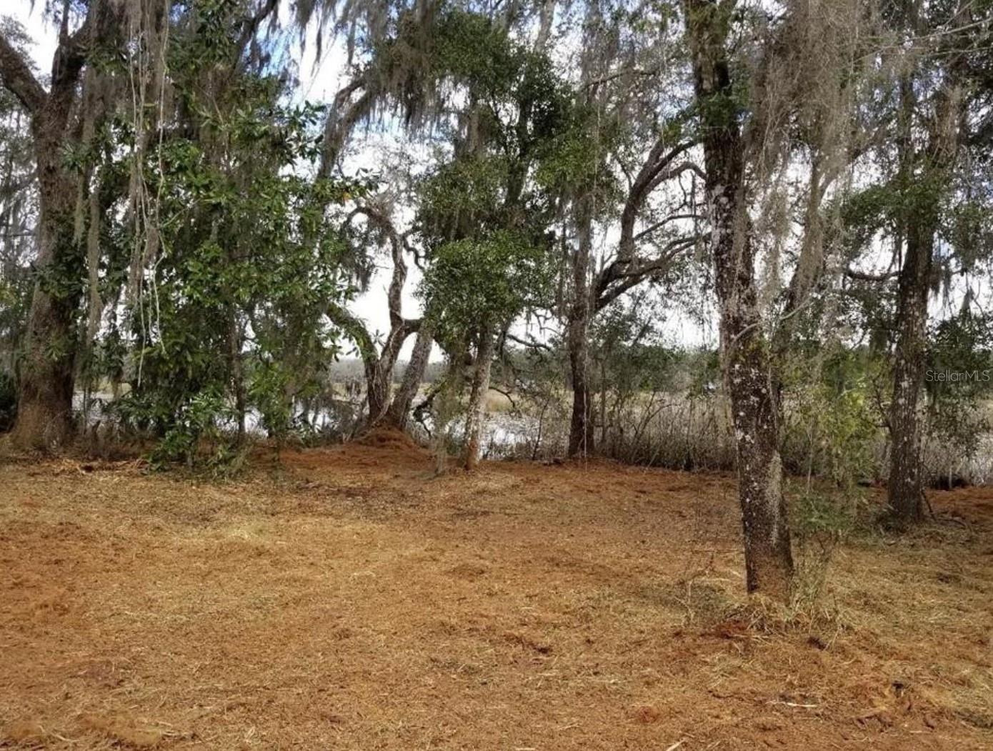 1005 N PENNYBACKER RD, INVERNESS, FL, 34453