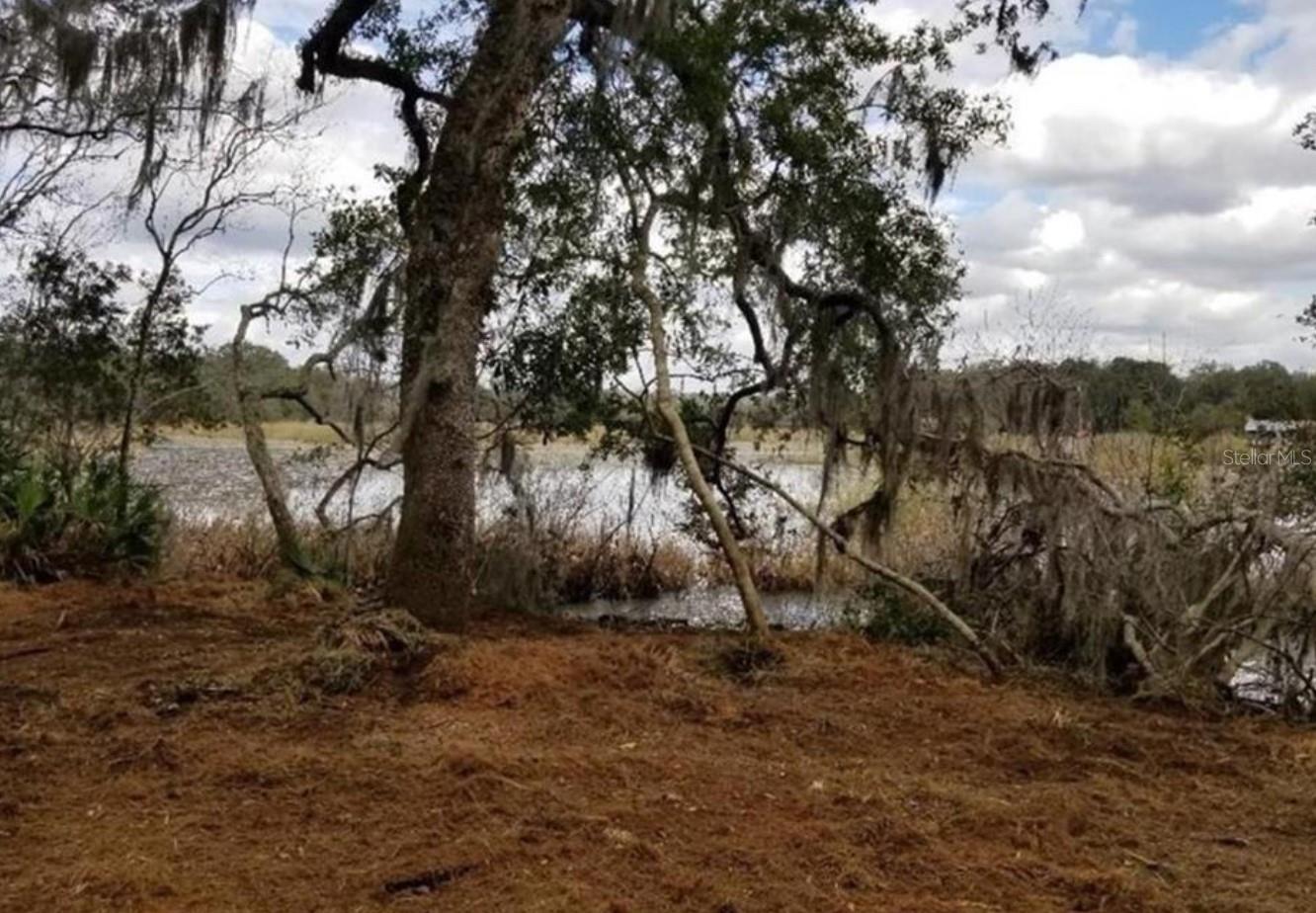 1005 N PENNYBACKER RD, INVERNESS, FL, 34453