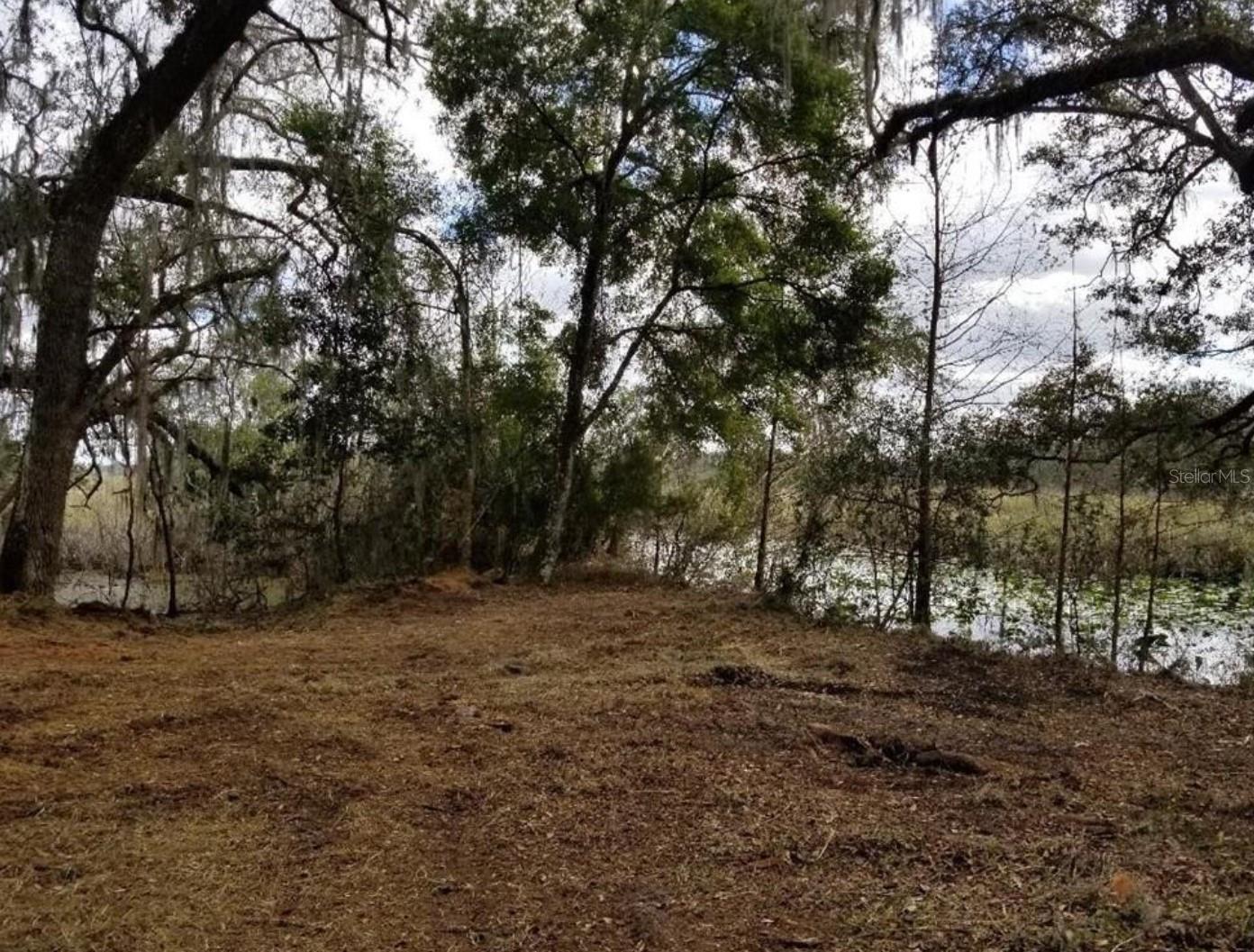 1005 N PENNYBACKER RD, INVERNESS, FL, 34453