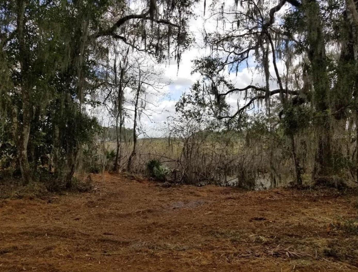 1005 N PENNYBACKER RD, INVERNESS, FL, 34453