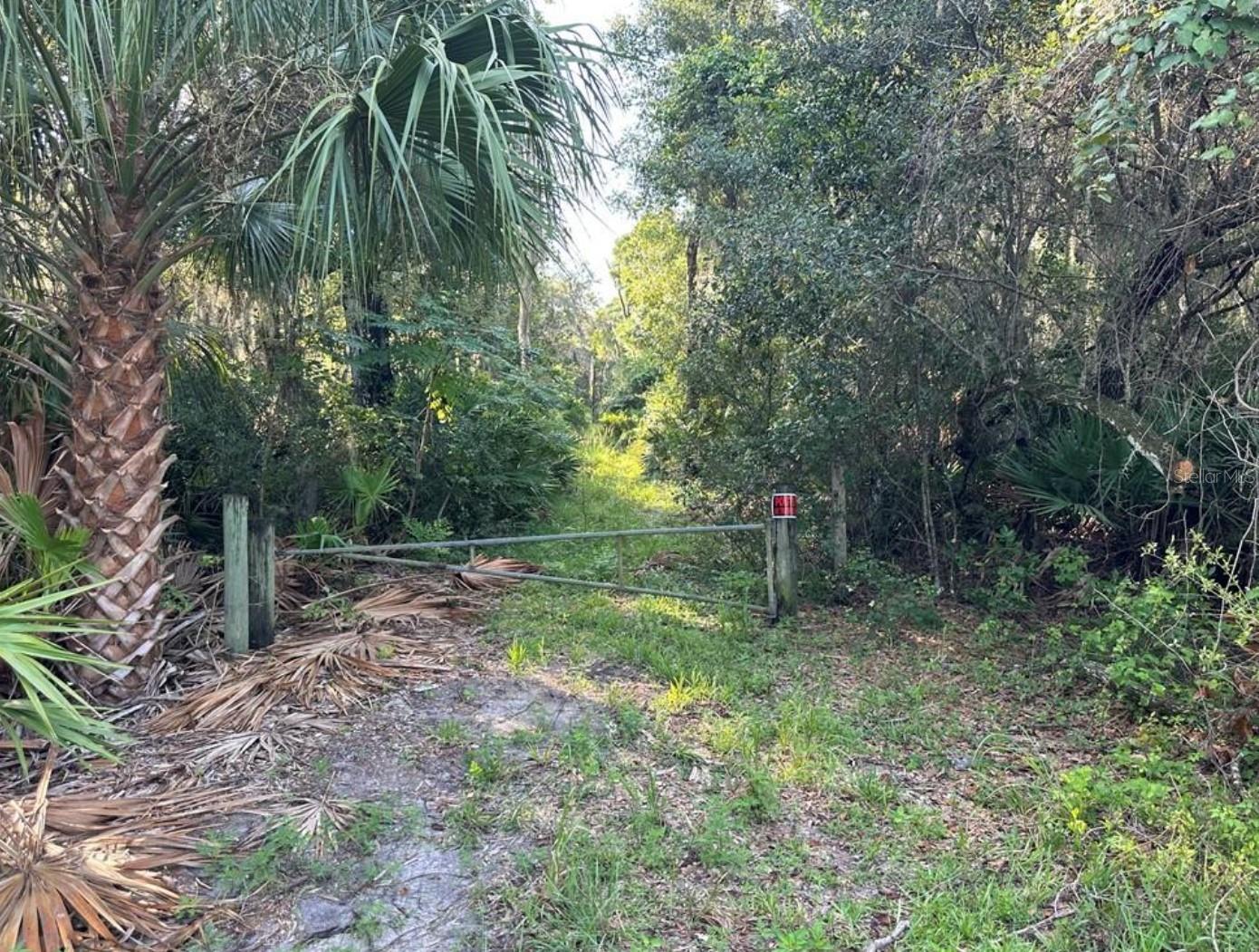 1005 N PENNYBACKER RD, INVERNESS, FL, 34453