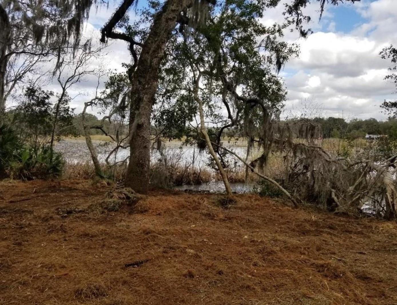 1005 N PENNYBACKER RD, INVERNESS, FL, 34453