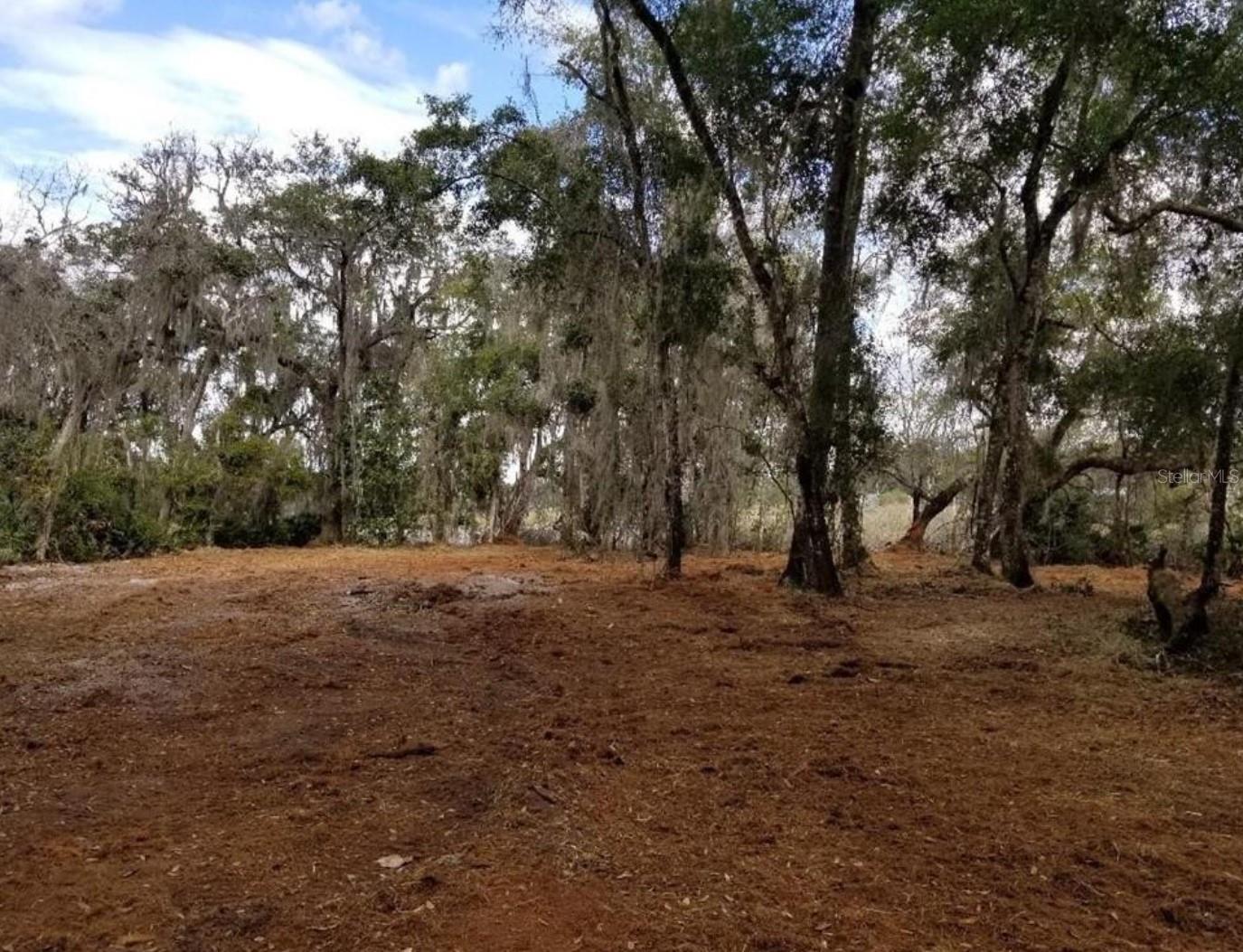 1005 N PENNYBACKER RD, INVERNESS, FL, 34453