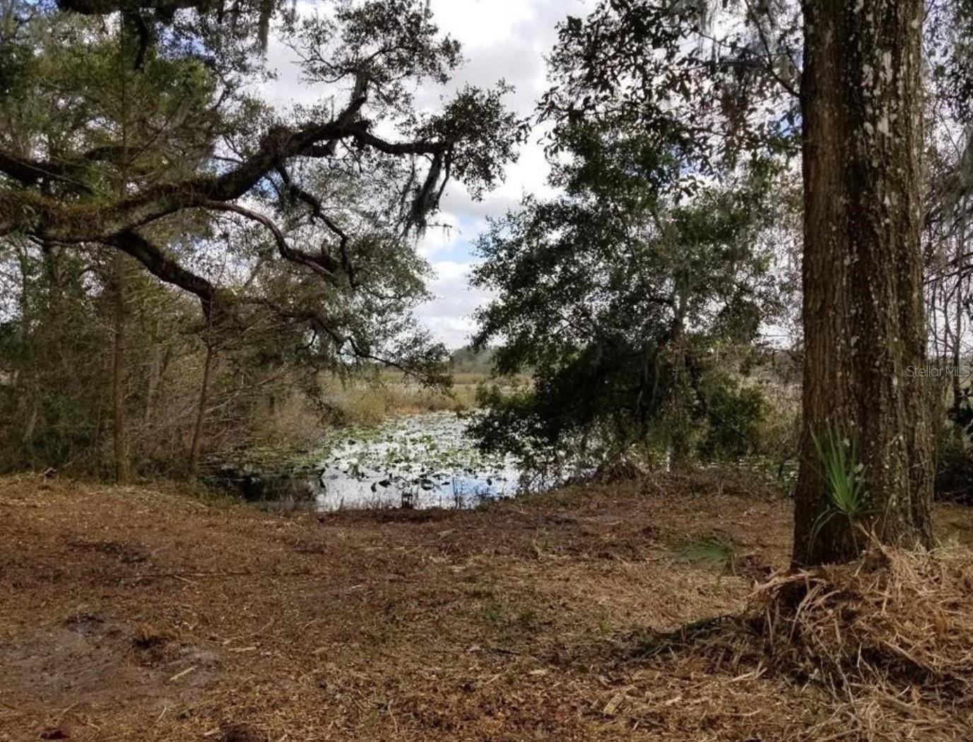1005 N PENNYBACKER RD, INVERNESS, FL, 34453
