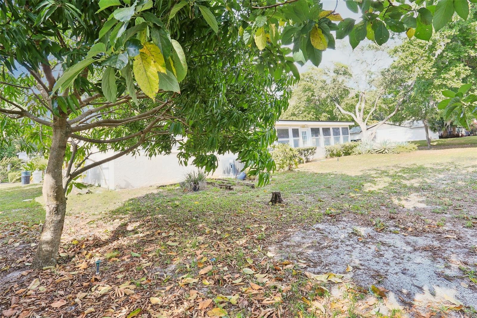 8506 SHADY GLEN DR, ORLANDO, FL, 32819