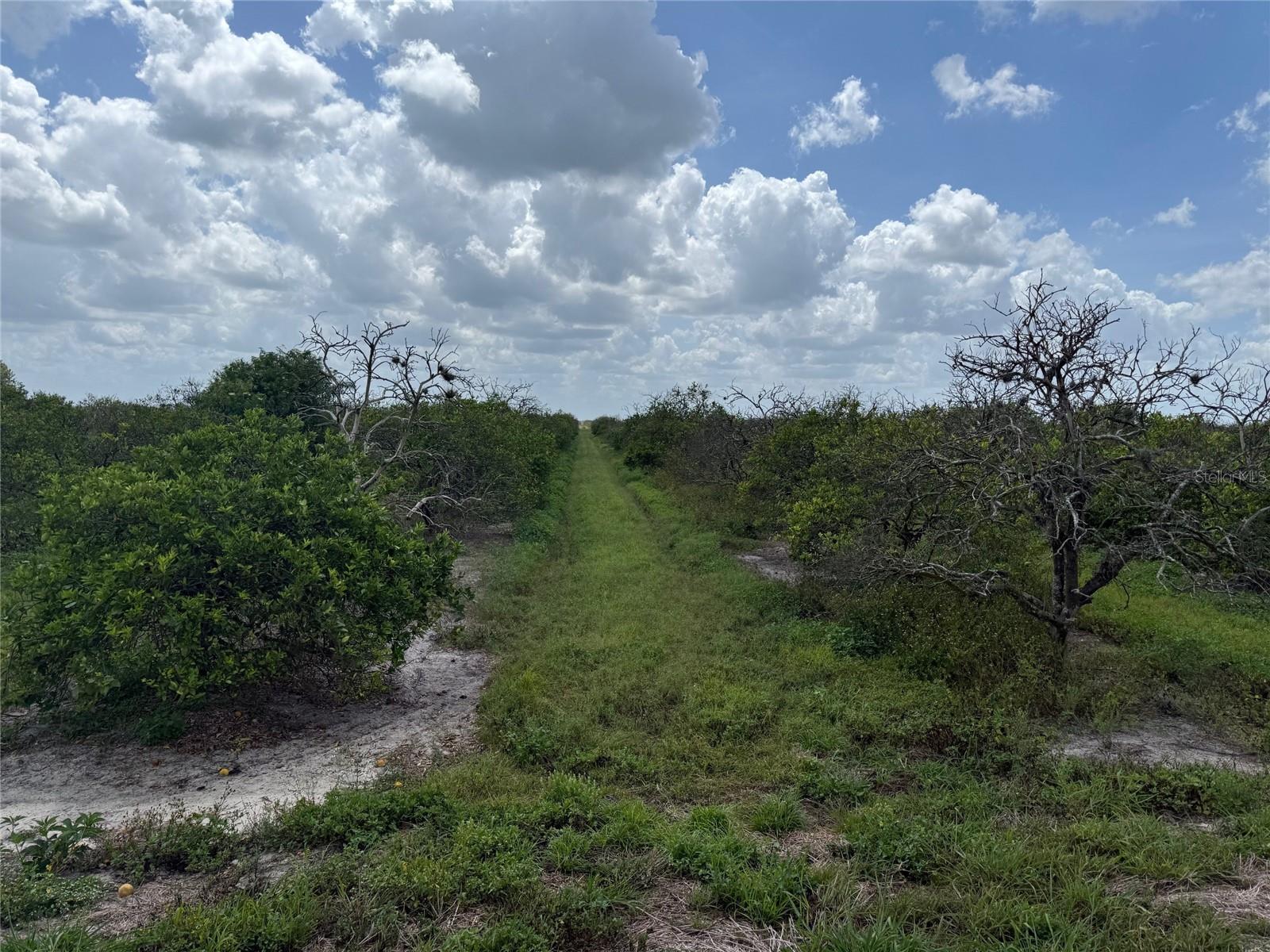 NE HIGHWAY 70, ARCADIA, FL, 34266