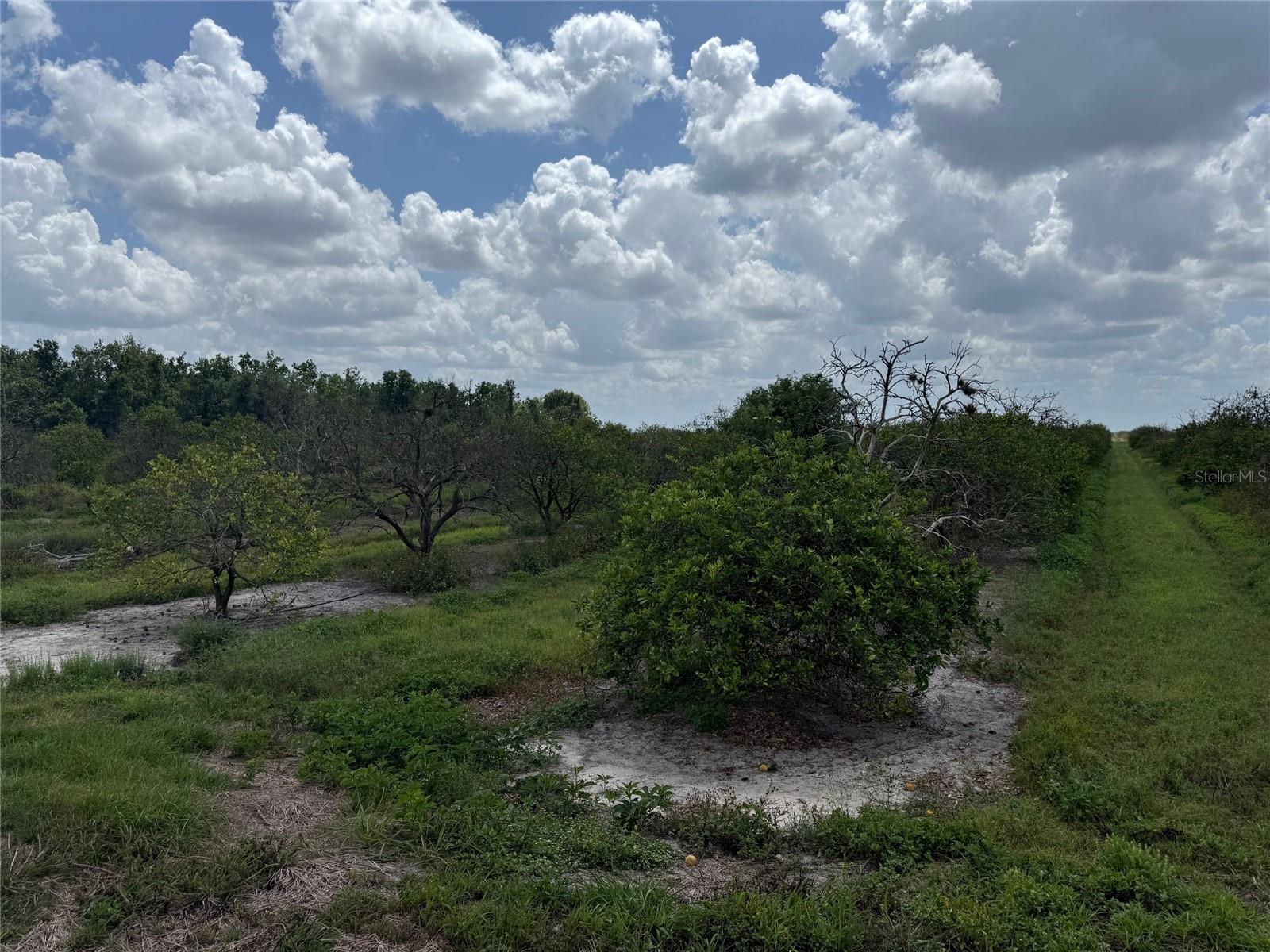 NE HIGHWAY 70, ARCADIA, FL, 34266