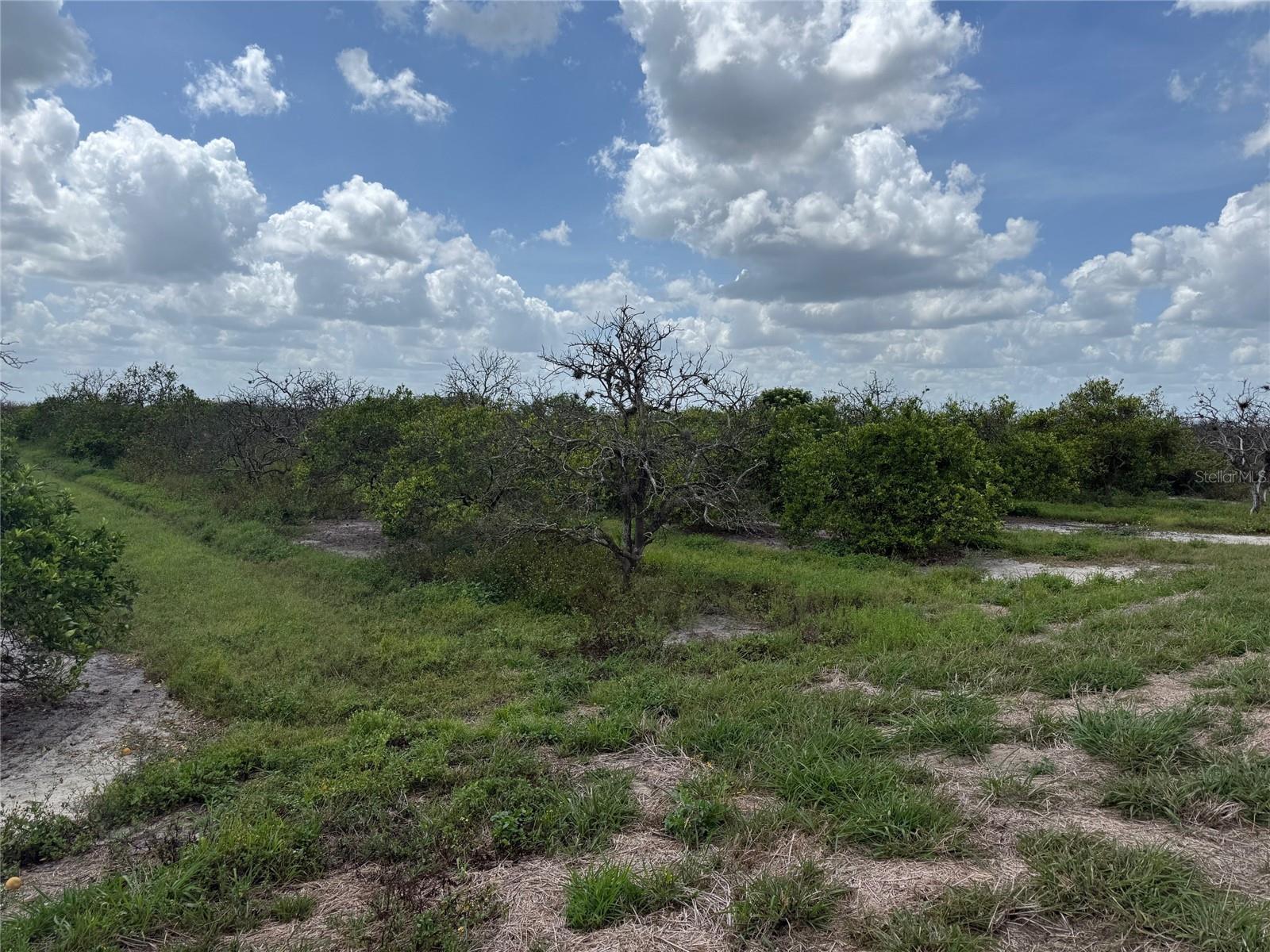 NE HIGHWAY 70, ARCADIA, FL, 34266