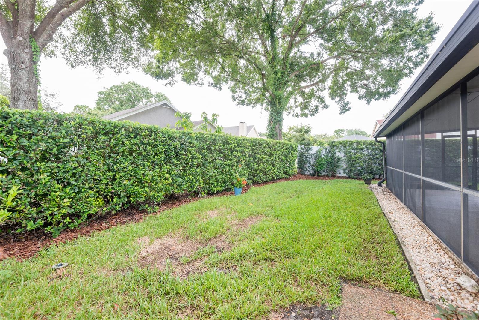 14507 NETTLE CREEK RD, TAMPA, FL, 33624
