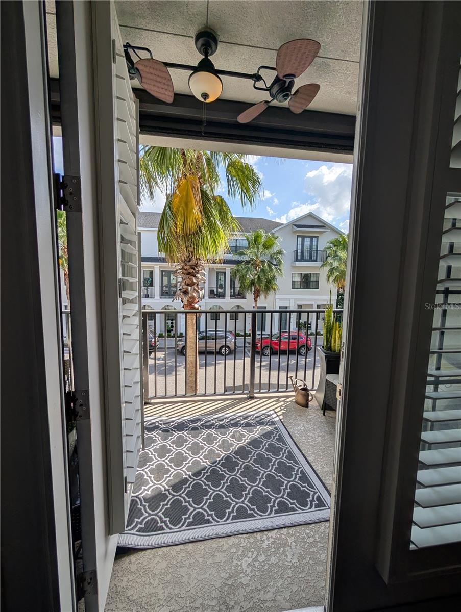 12955 CATS CLAW LN, ORLANDO, FL, 32828