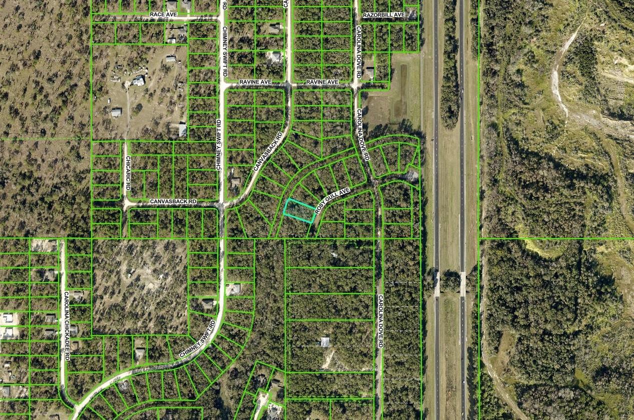 14195 ROSY GULL AVE, BROOKSVILLE, FL, 34614