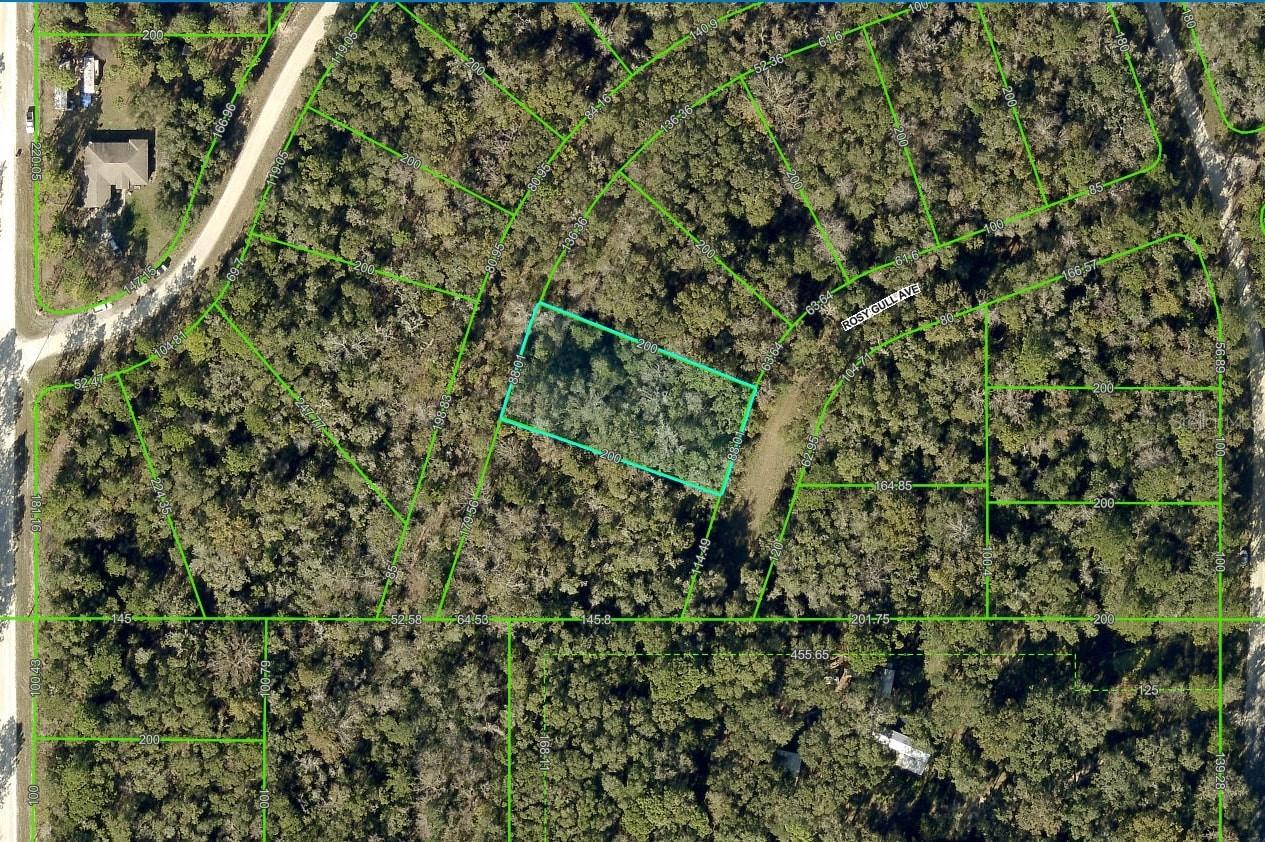 14195 ROSY GULL AVE, BROOKSVILLE, FL, 34614