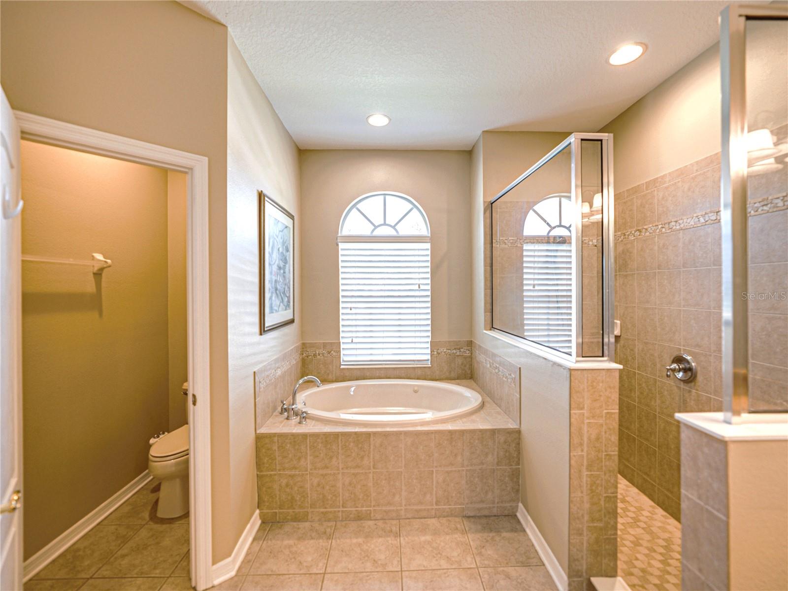 13712 TRINITY LEAF PL, RIVERVIEW, FL, 33579