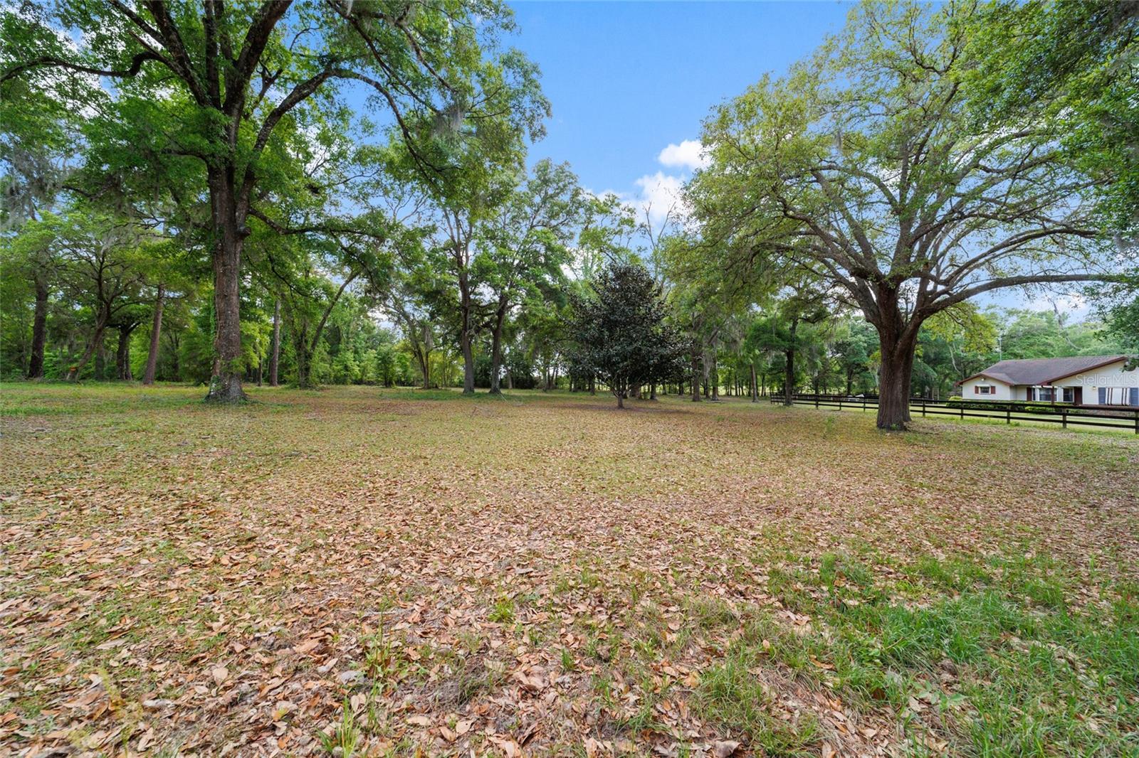 21990 NE HIGHWAY 27, WILLISTON, FL, 32696