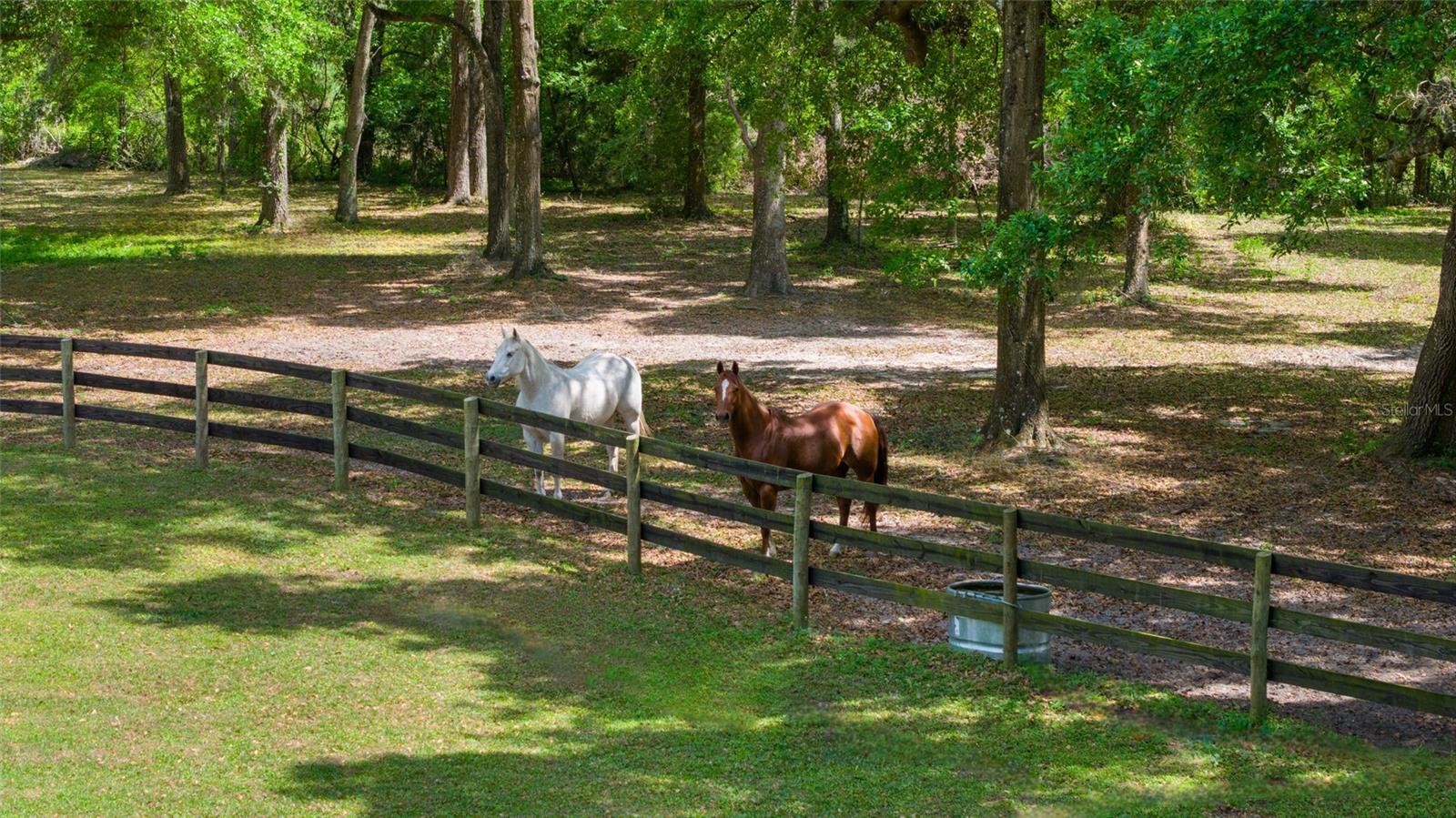 21990 NE HIGHWAY 27, WILLISTON, FL, 32696