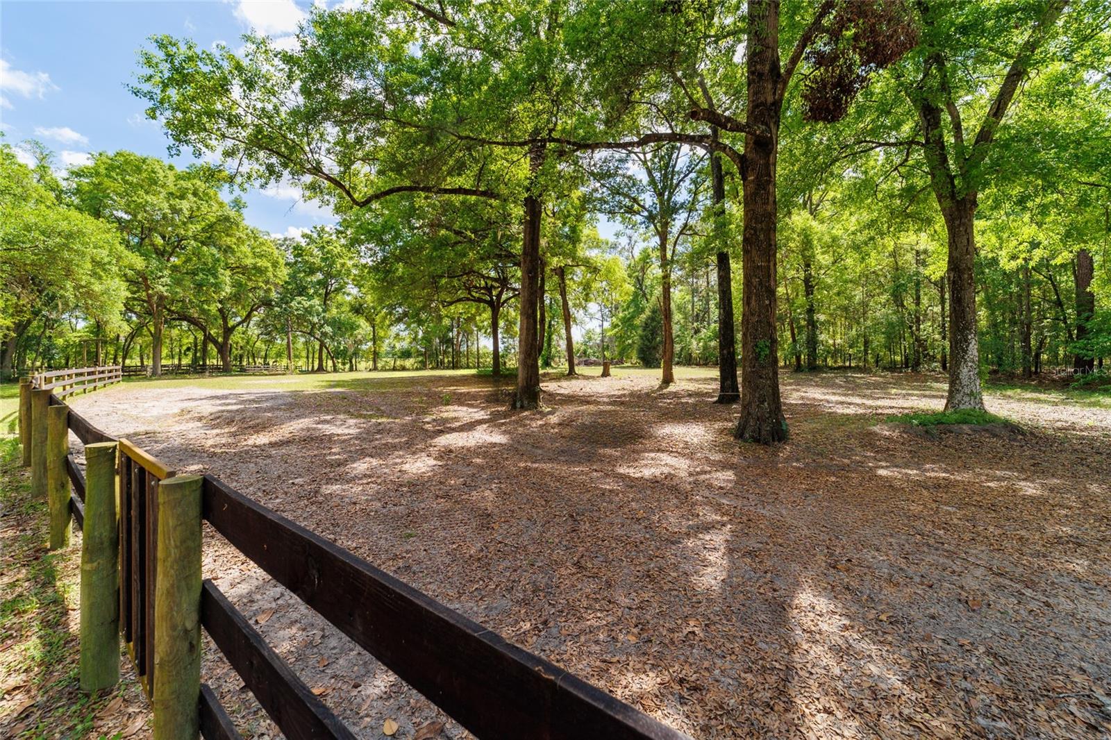 21990 NE HIGHWAY 27, WILLISTON, FL, 32696