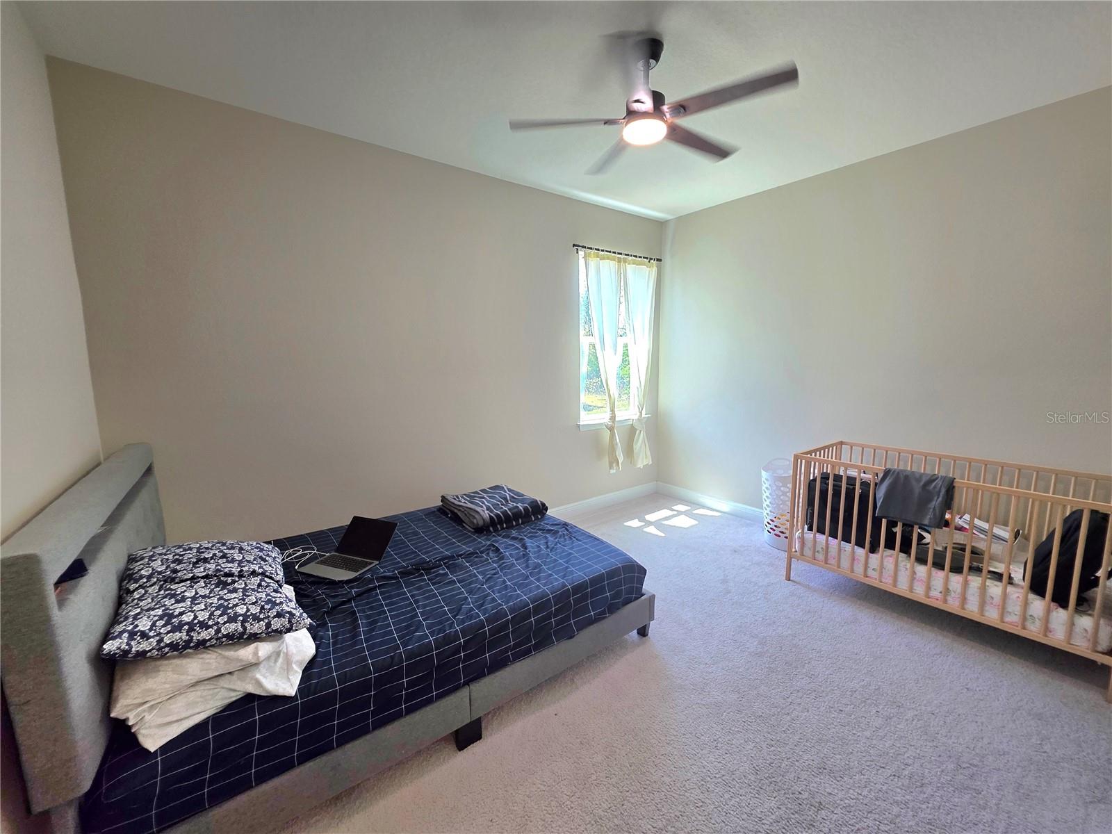 23216 PACHINO WAY, LUTZ, FL, 33549