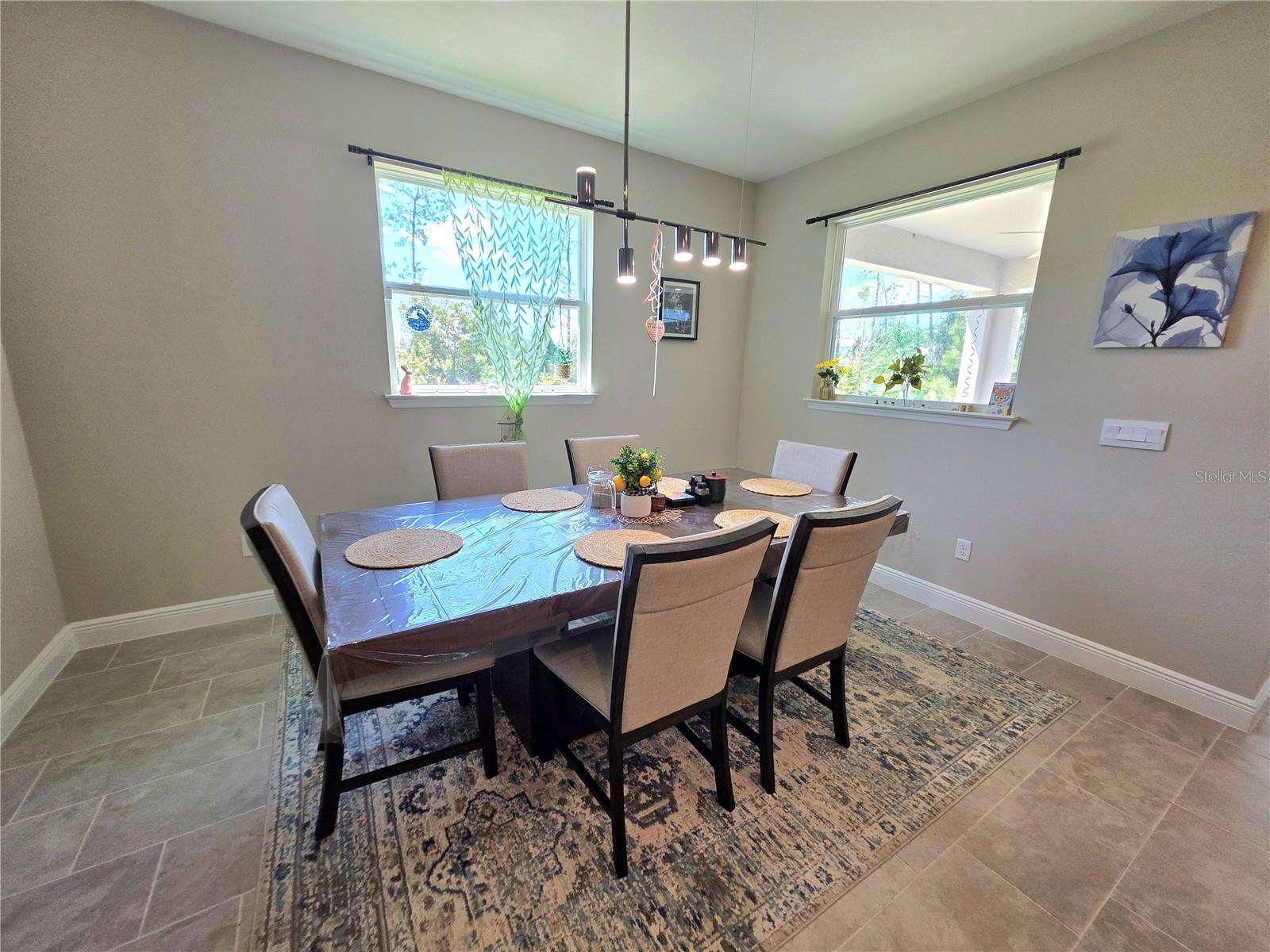 23216 PACHINO WAY, LUTZ, FL, 33549