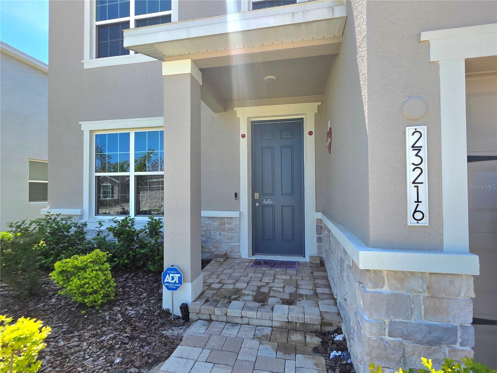 23216 PACHINO WAY, LUTZ, FL, 33549