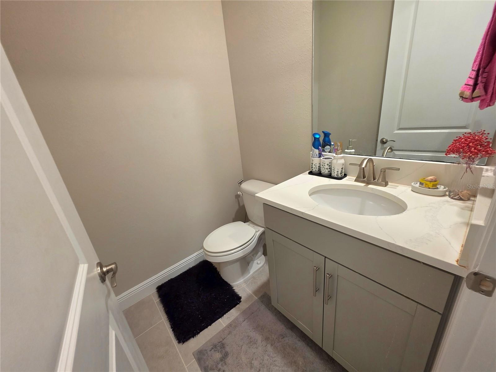 23216 PACHINO WAY, LUTZ, FL, 33549