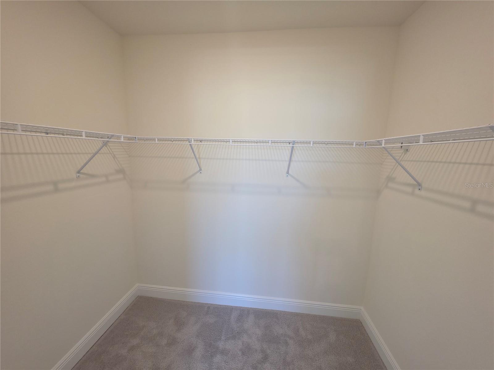 23216 PACHINO WAY, LUTZ, FL, 33549