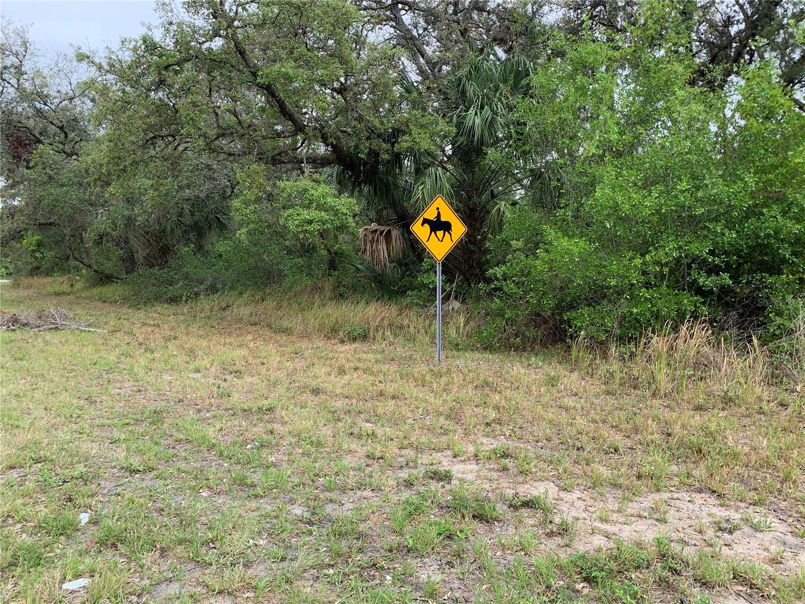 0 N GOODMAN RD, KISSIMMEE, FL, 34747