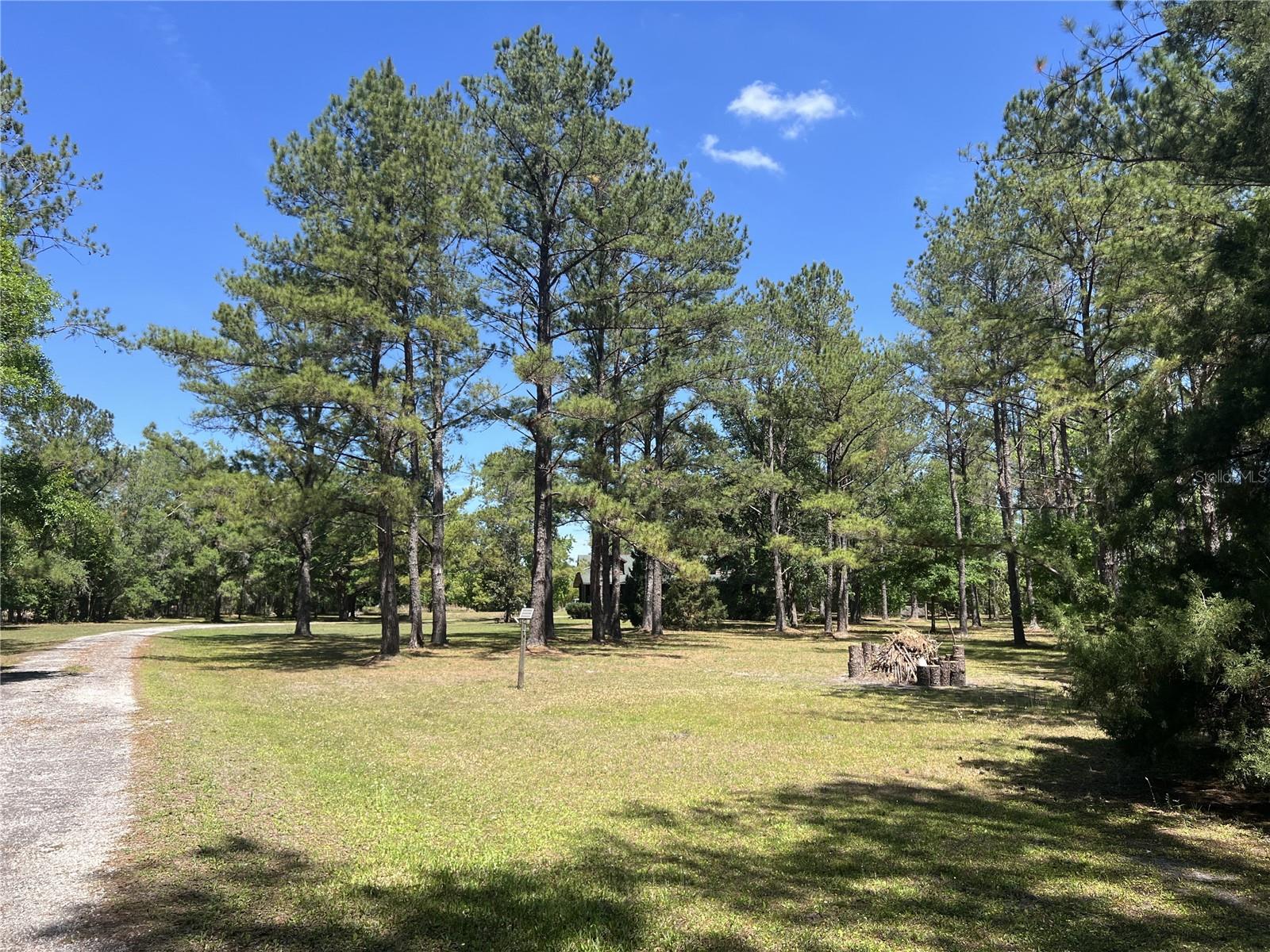 28019 JOHNSTON RD, DADE CITY, FL, 33523