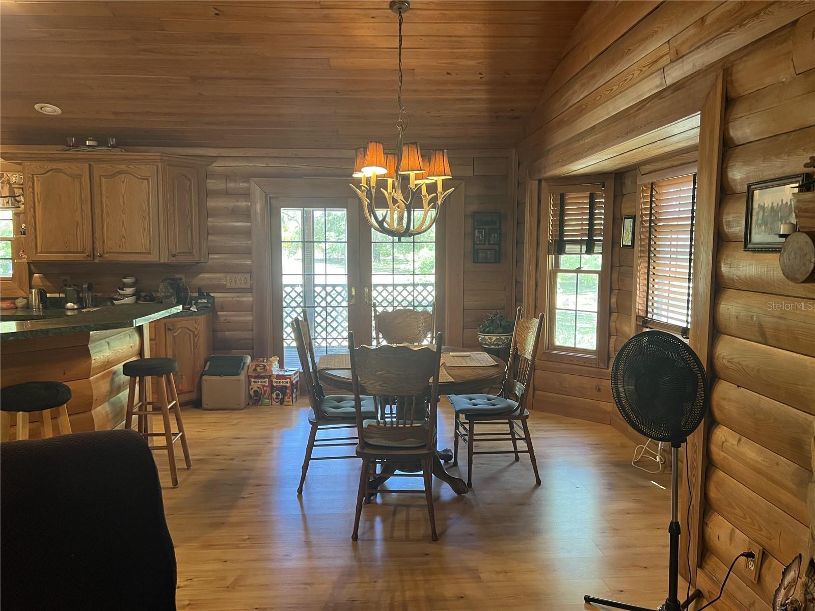 28019 JOHNSTON RD, DADE CITY, FL, 33523