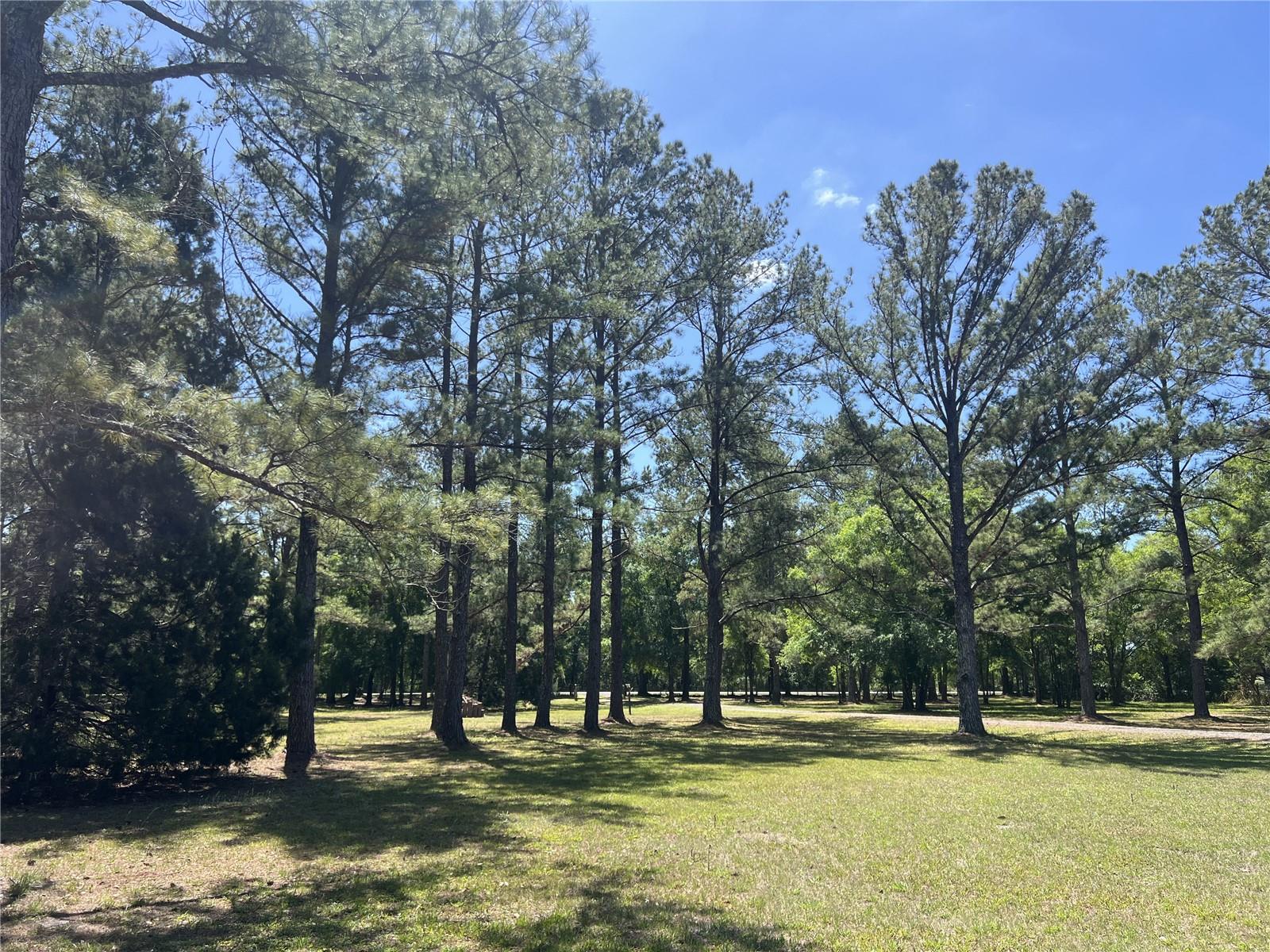 28019 JOHNSTON RD, DADE CITY, FL, 33523