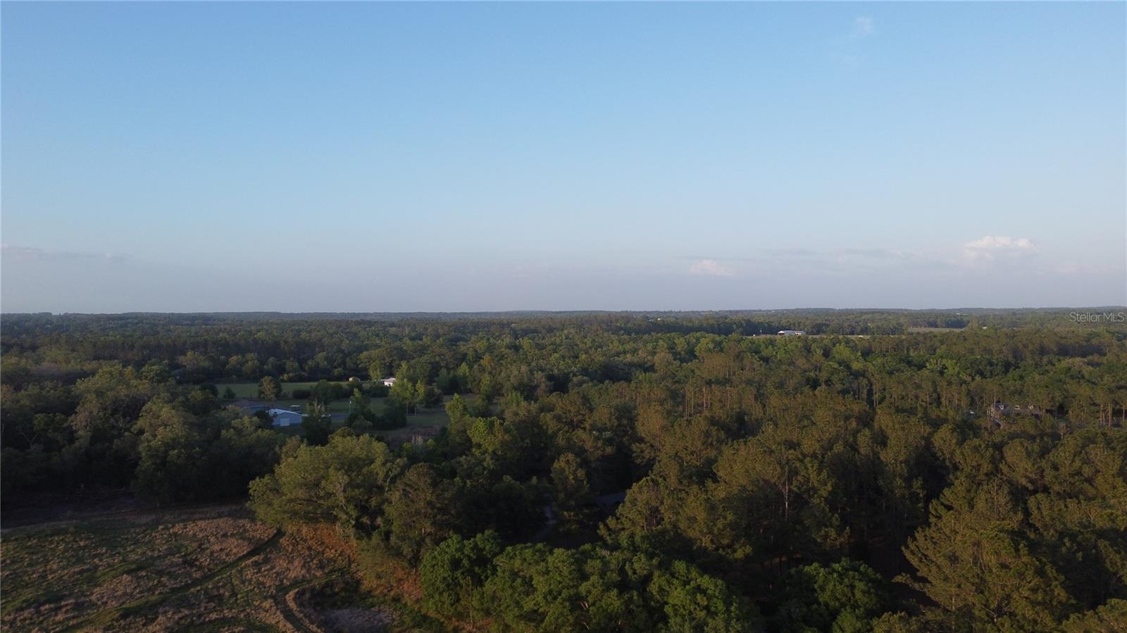 28019 JOHNSTON RD, DADE CITY, FL, 33523