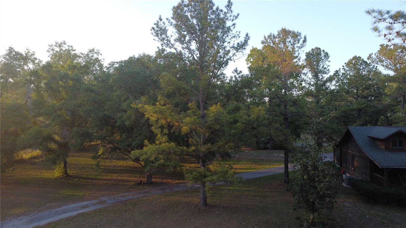 28019 JOHNSTON RD, DADE CITY, FL, 33523