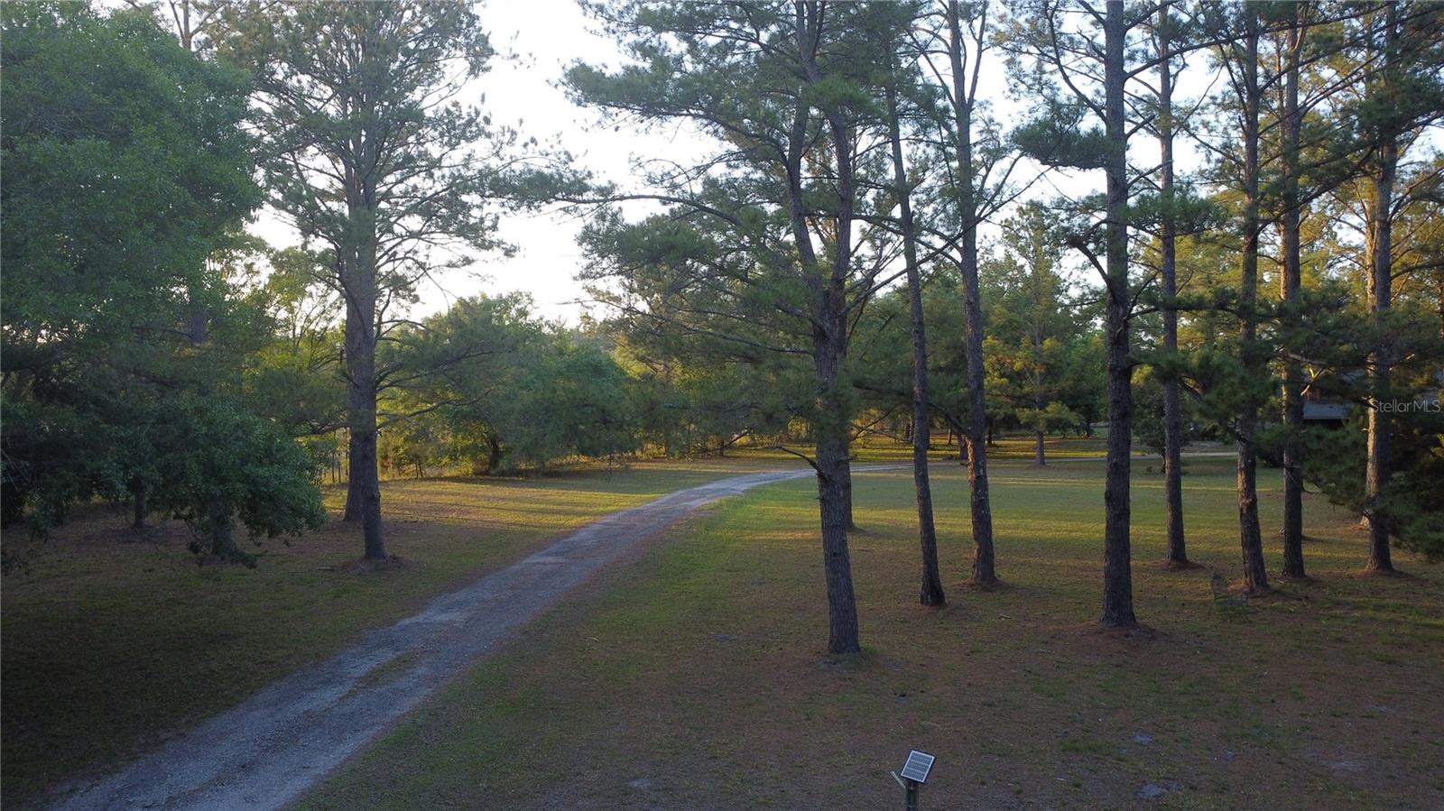 28019 JOHNSTON RD, DADE CITY, FL, 33523