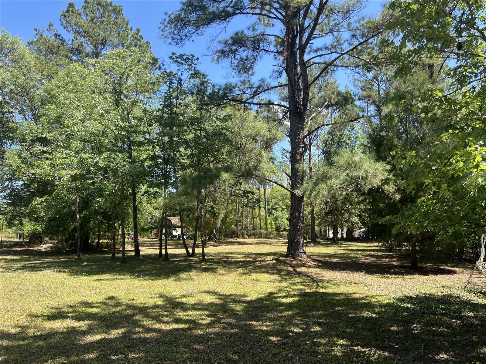 28019 JOHNSTON RD, DADE CITY, FL, 33523
