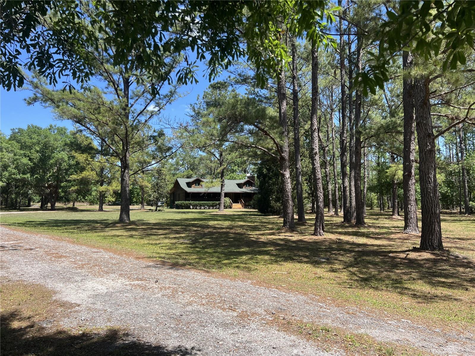 28019 JOHNSTON RD, DADE CITY, FL, 33523