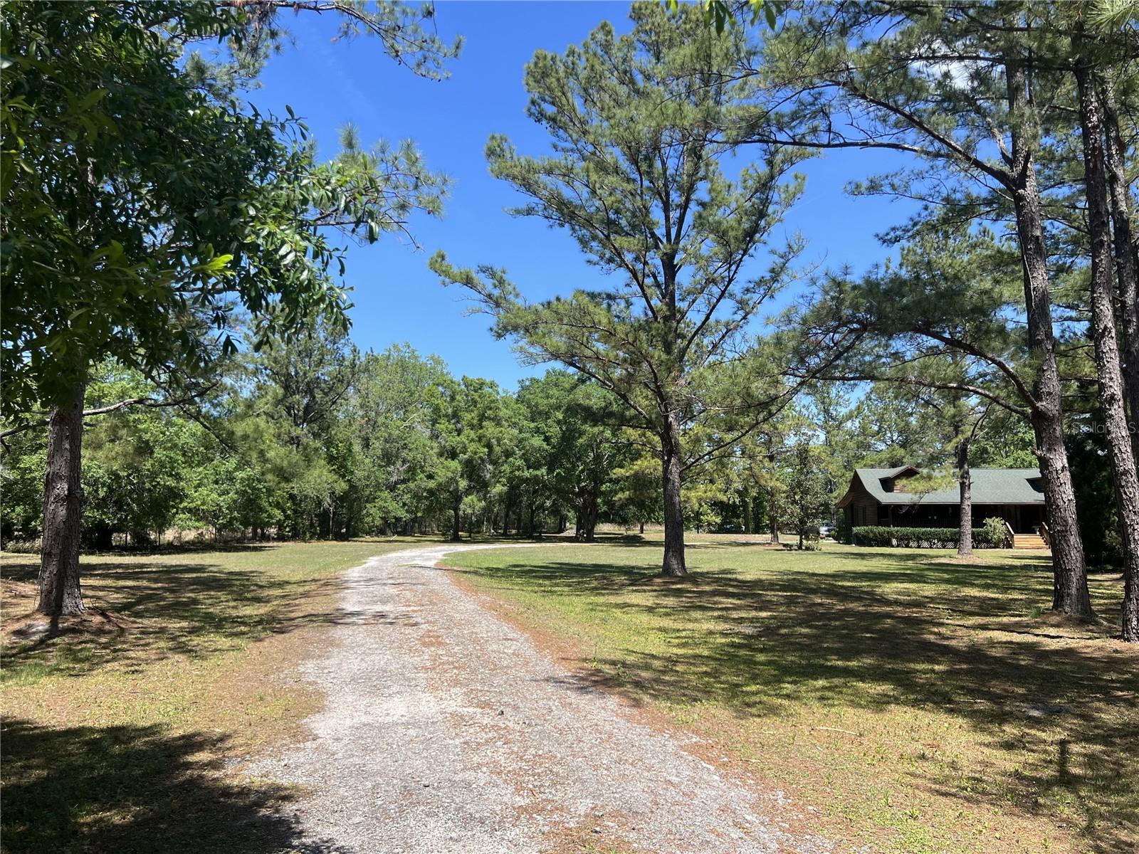 28019 JOHNSTON RD, DADE CITY, FL, 33523