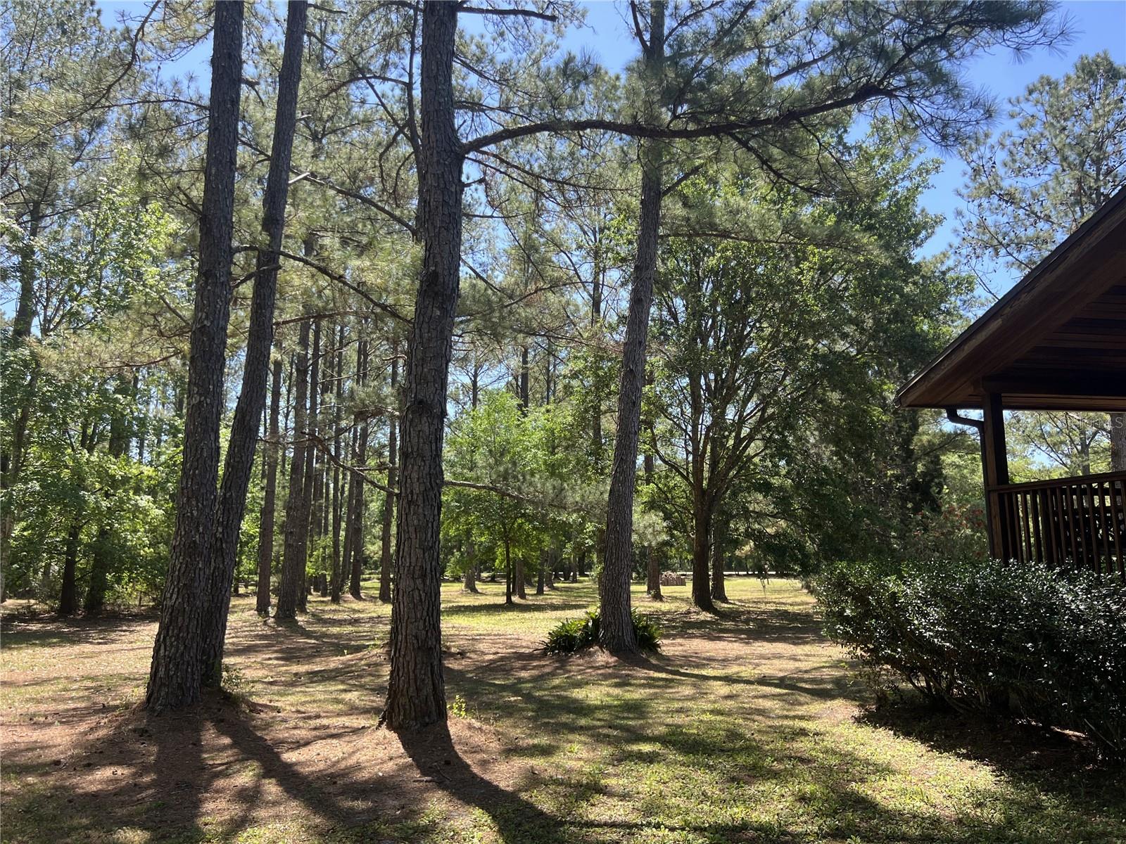 28019 JOHNSTON RD, DADE CITY, FL, 33523