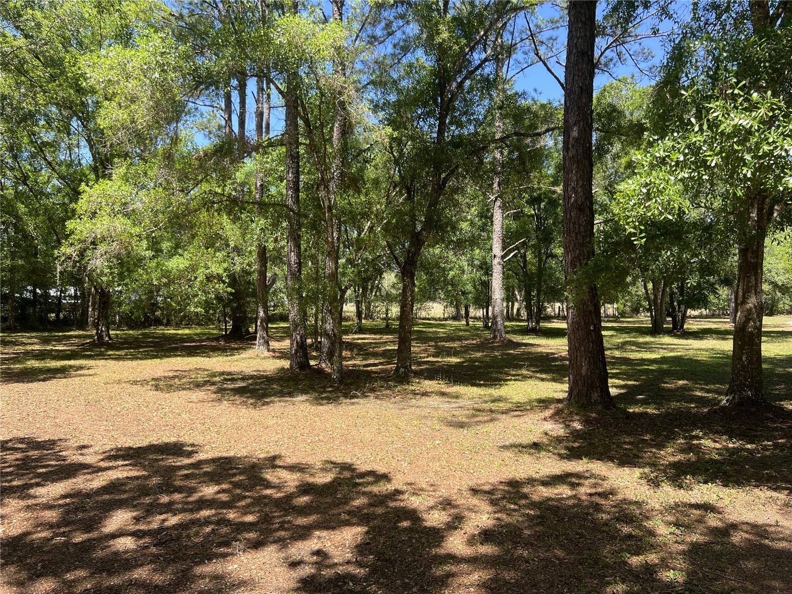 28019 JOHNSTON RD, DADE CITY, FL, 33523