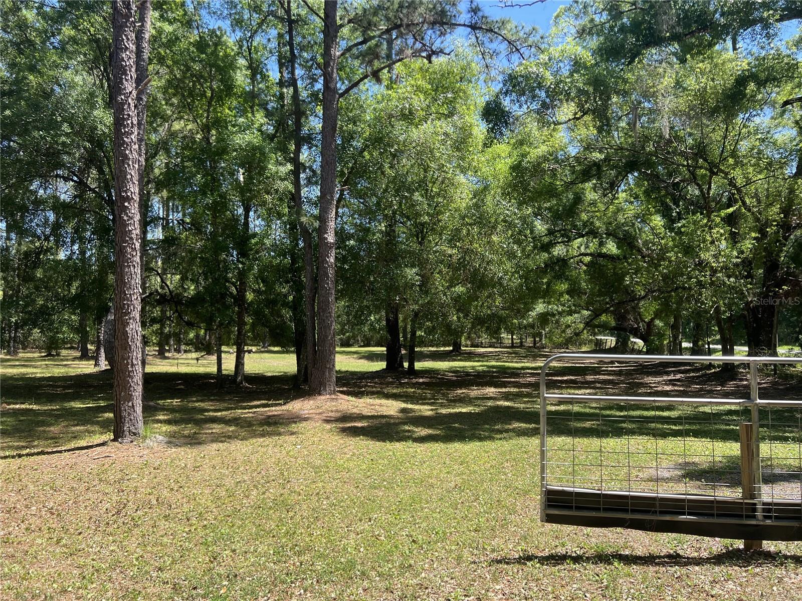 28019 JOHNSTON RD, DADE CITY, FL, 33523