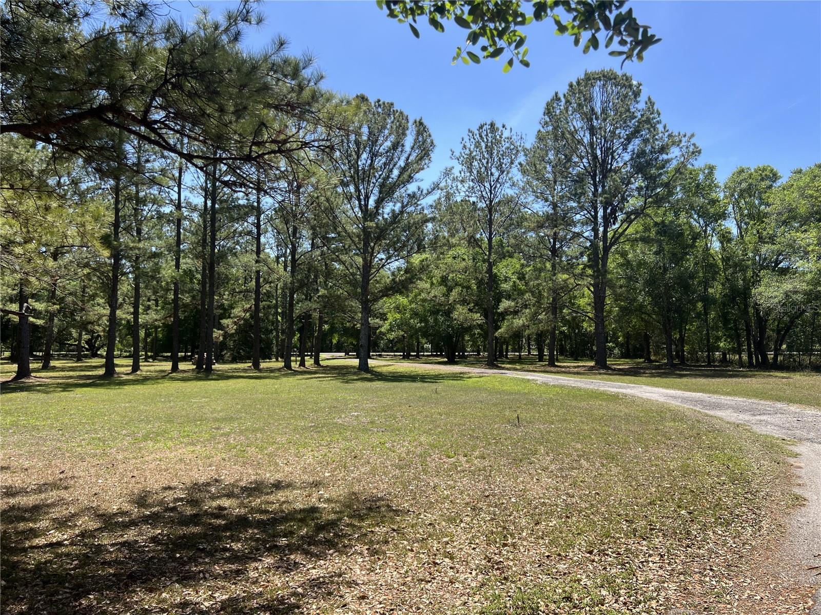 28019 JOHNSTON RD, DADE CITY, FL, 33523