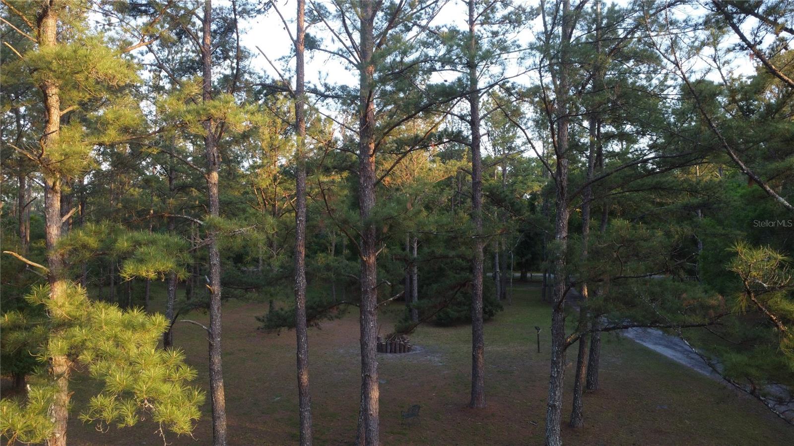 28019 JOHNSTON RD, DADE CITY, FL, 33523